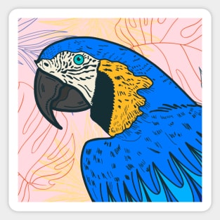 MACAW Sticker